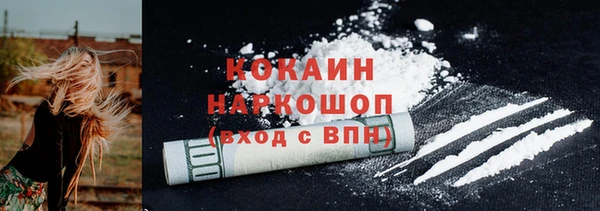 дживик Белокуриха
