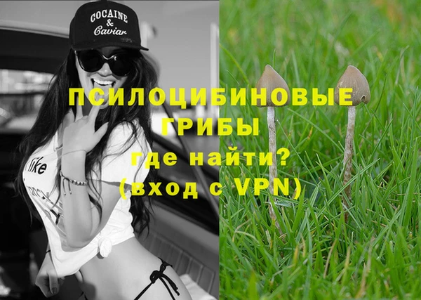 дмт Нязепетровск