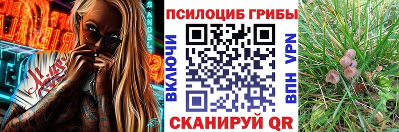 наркошоп Катайск Псилоцибиновые грибы GOLDEN TEACHER